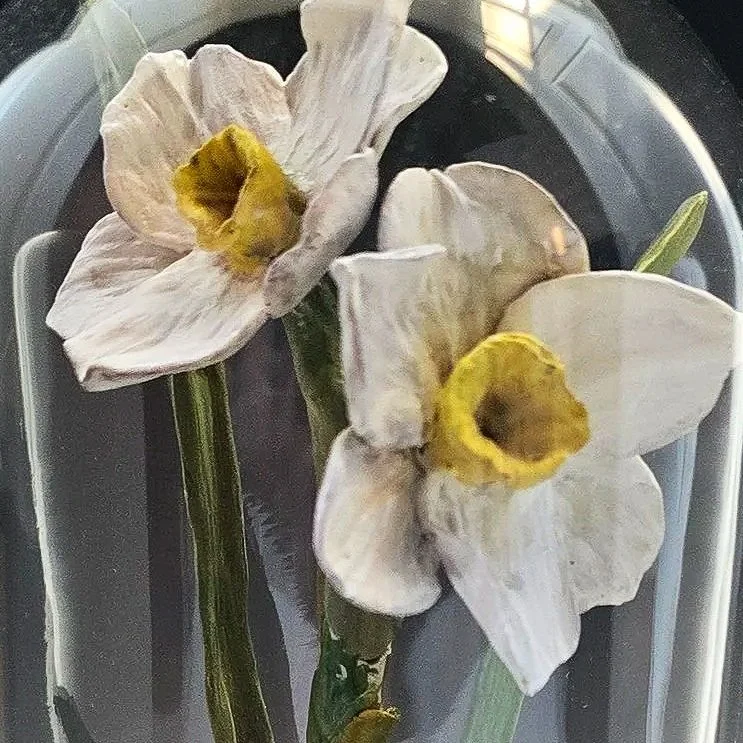daffodilonbook.jpg
