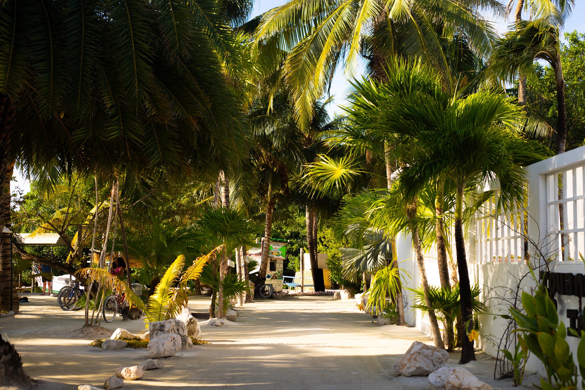 Your Guide to Caye Caulker: What to Do, Eat &amp; Explore During Your Stay at The Bohemian