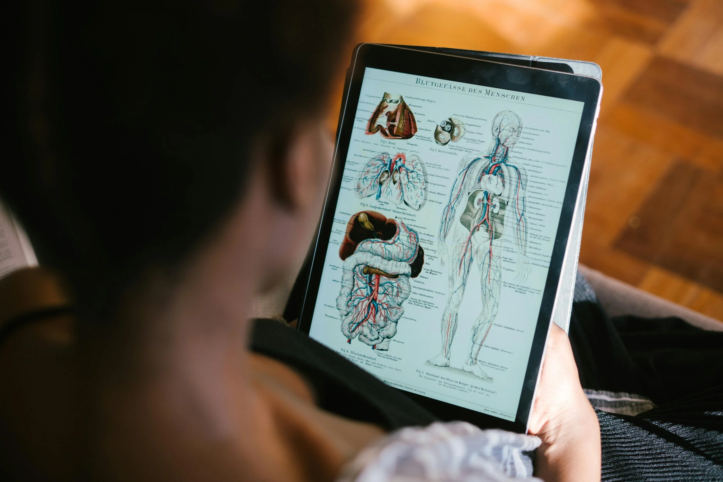Person holding a tablet displaying anatomical diagrams.