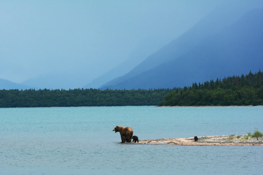 National Park Week 2026: Why National Park Conservation Matters