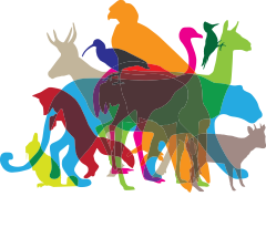 Colorful silhouette illustrations of various animals, including a llama, parrot, and sea lion, with the text 'Ruta de los Parques de Patagonia' at the bottom.