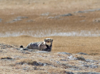 Screenshot 2026-04-13 155333.png