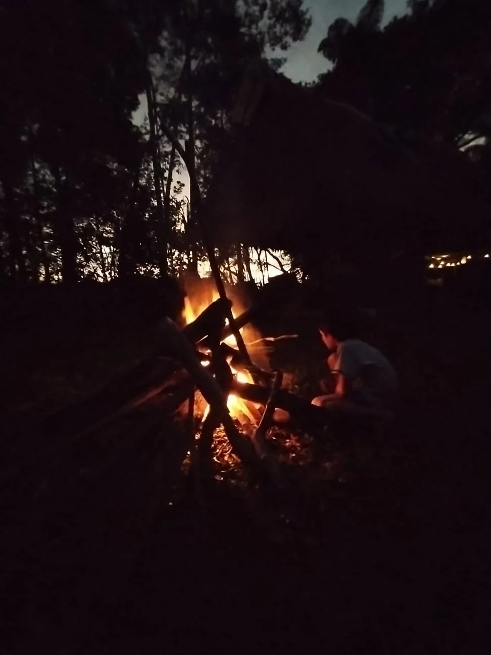 Manu expedition (2).jpeg