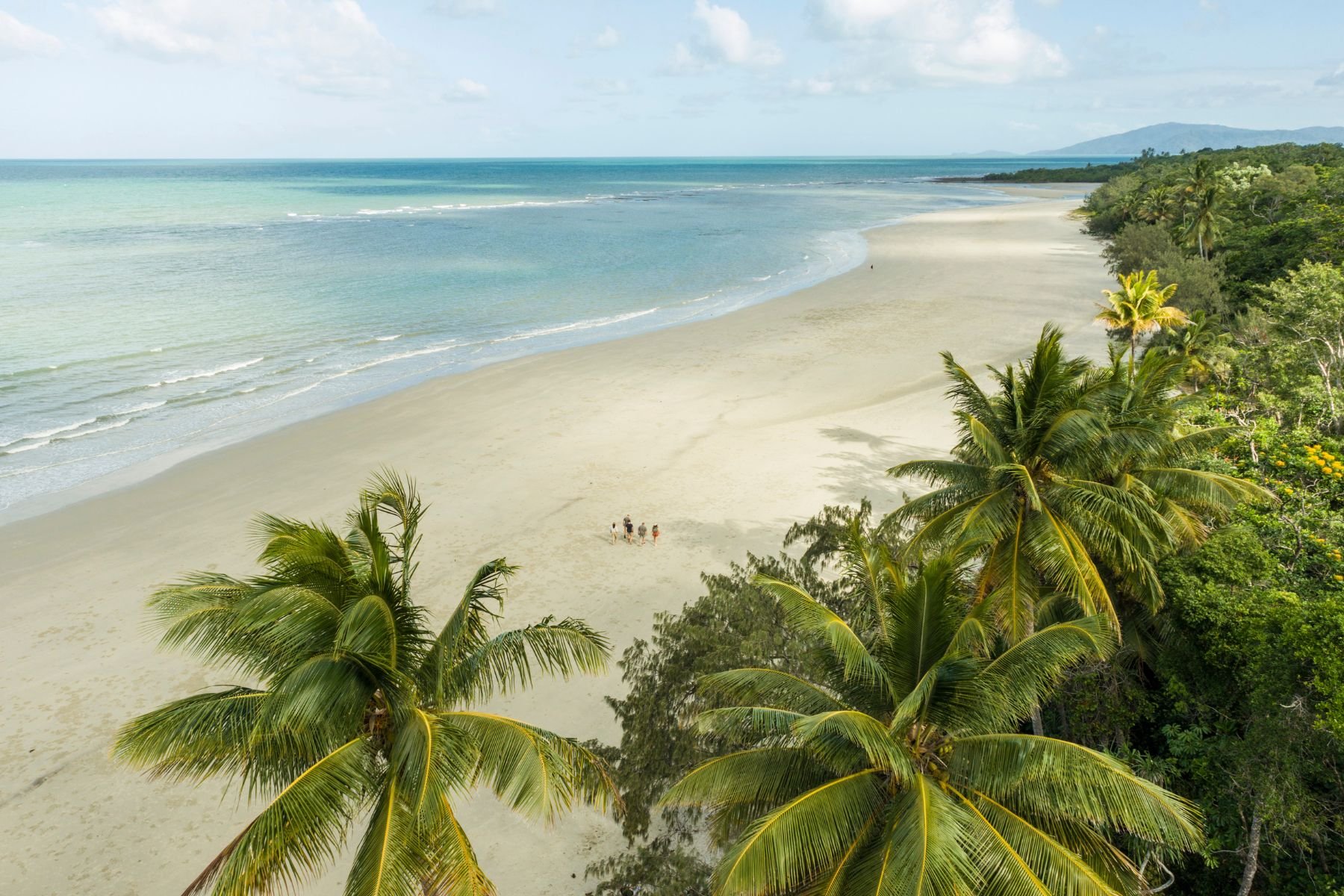 Tropical beach with palm trees, light-colored sand, and calm ocean waves under partly cloudy sky