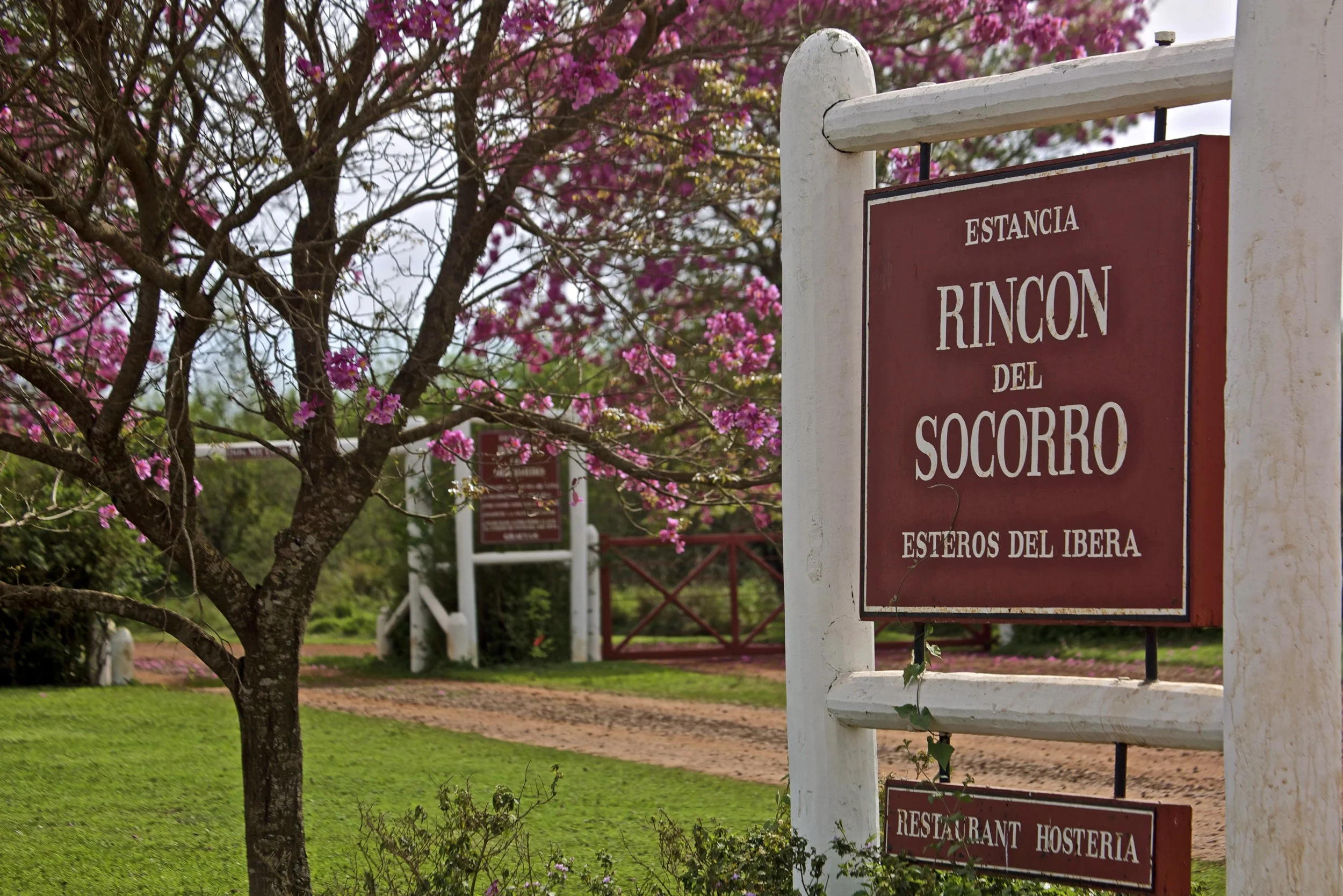 02-Entrance - Ph. Rincón del Socorro.jpg