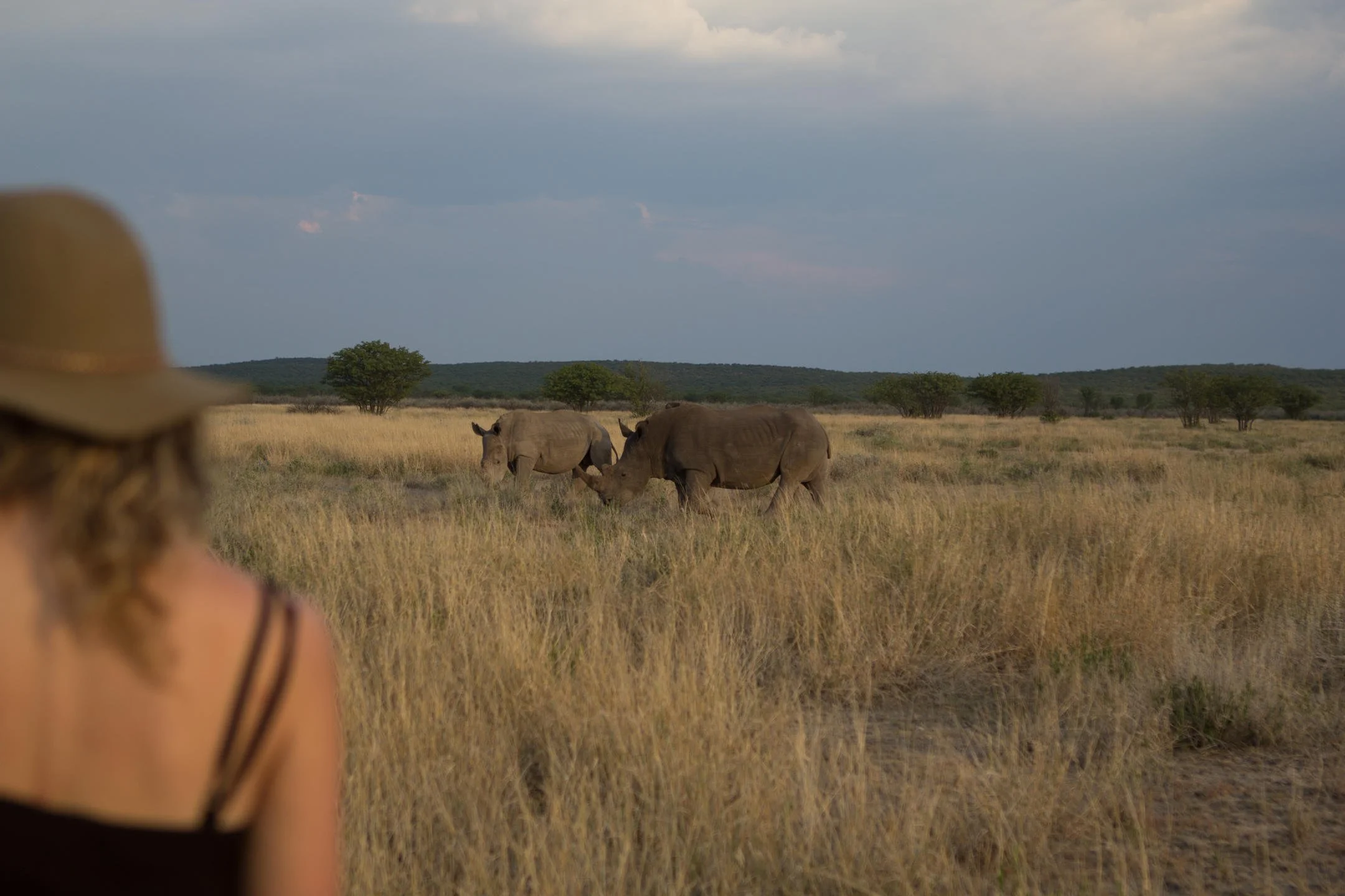 Ongava Game Reserve_2.jpg