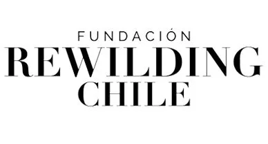 Logo of Fundación Rewilding Chile with the words 'Fundación Rewilding Chile' in black text.