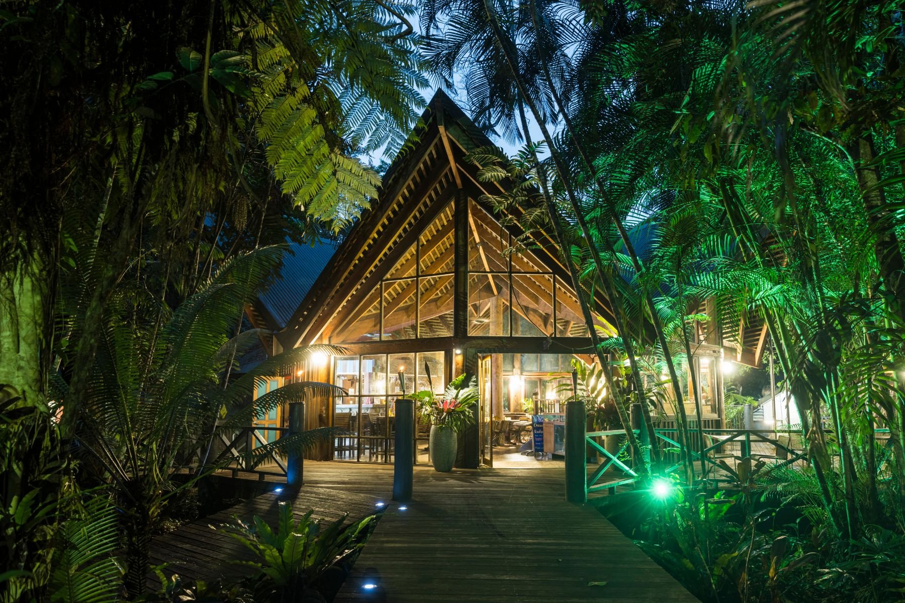 A cozy, illuminated wooden cabin nestled among lush green tropical plants at night.
