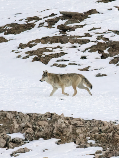 Screenshot 2026-04-13 155324.png