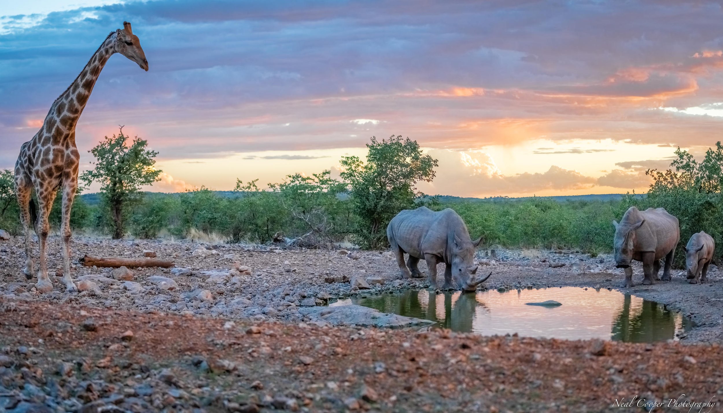 Ongava Lodge.jpg
