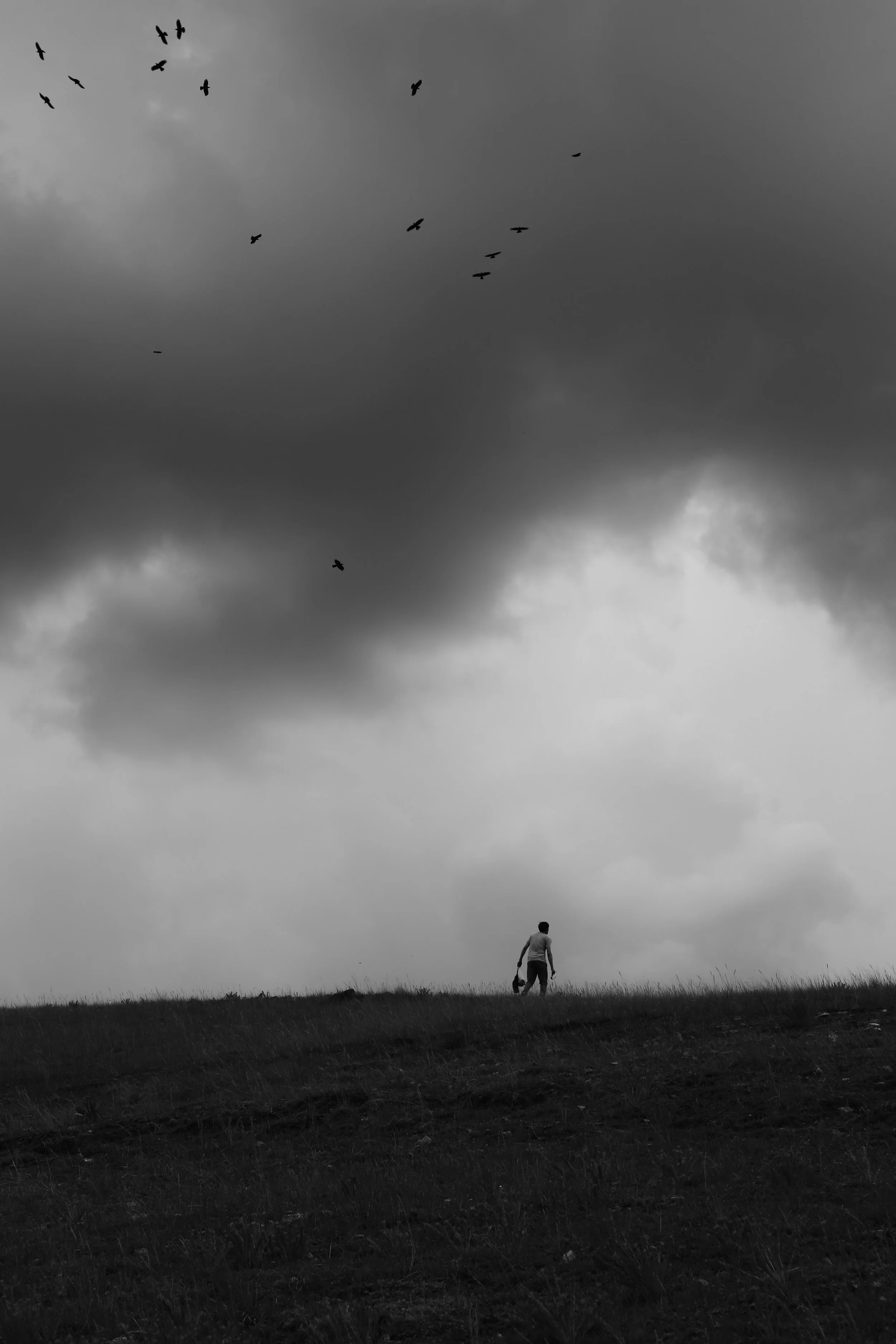 A small figure standing beneath a wide grey sky, reflecting the experience of being present while the body is still adjusting to a sense of calm