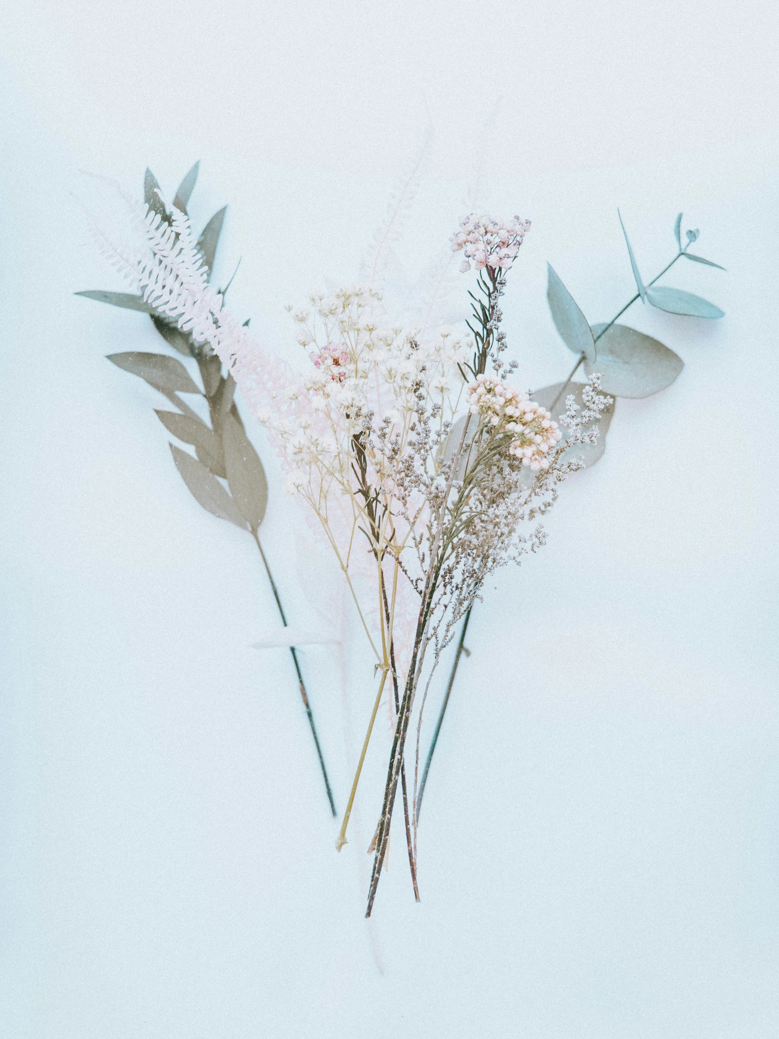 Holding the Dark Season Part Two: Compulsions, Risk, and Self-Directed Harm in the Dark Season