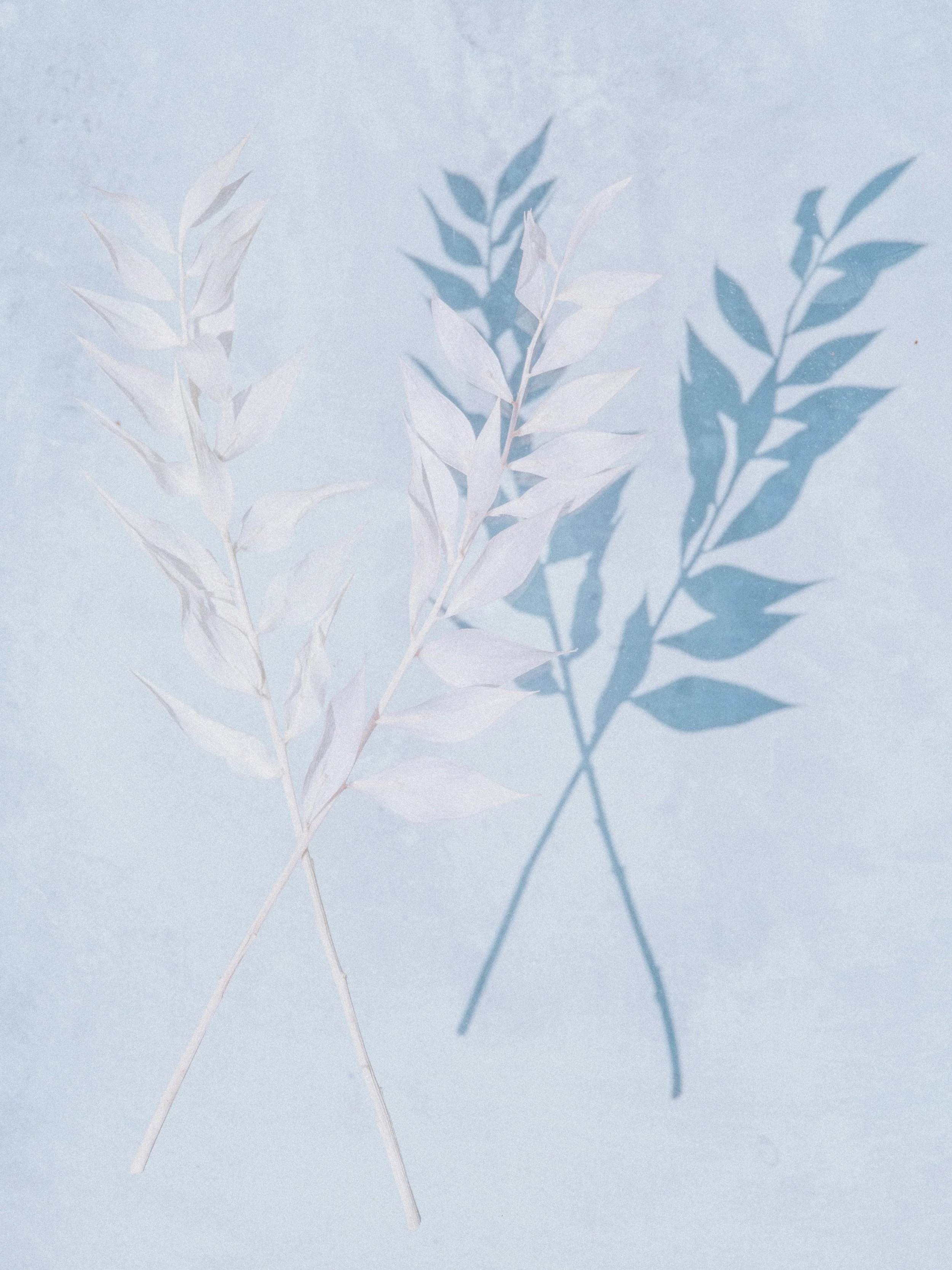 Holding the Dark Season Part Three: Grief, Loneliness, and the Weight of Comparison