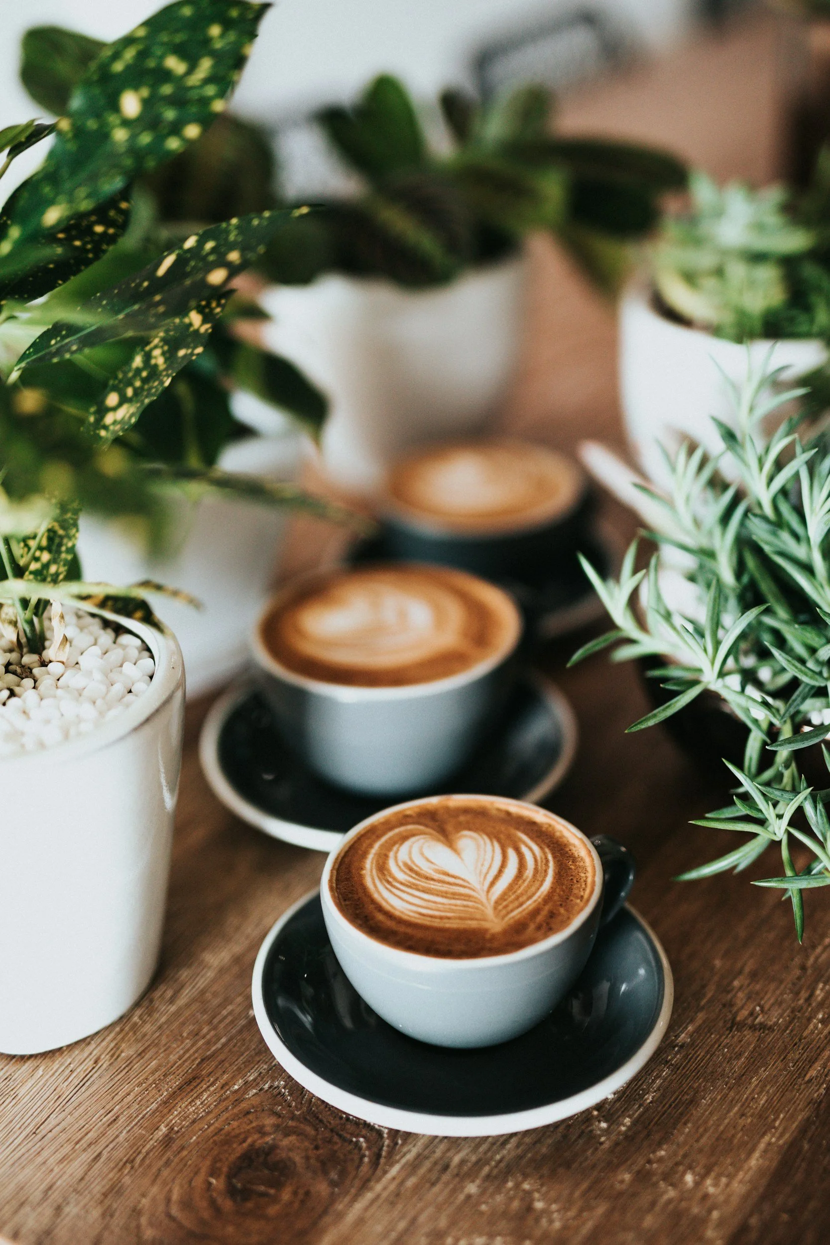 Coffee Networking - DC