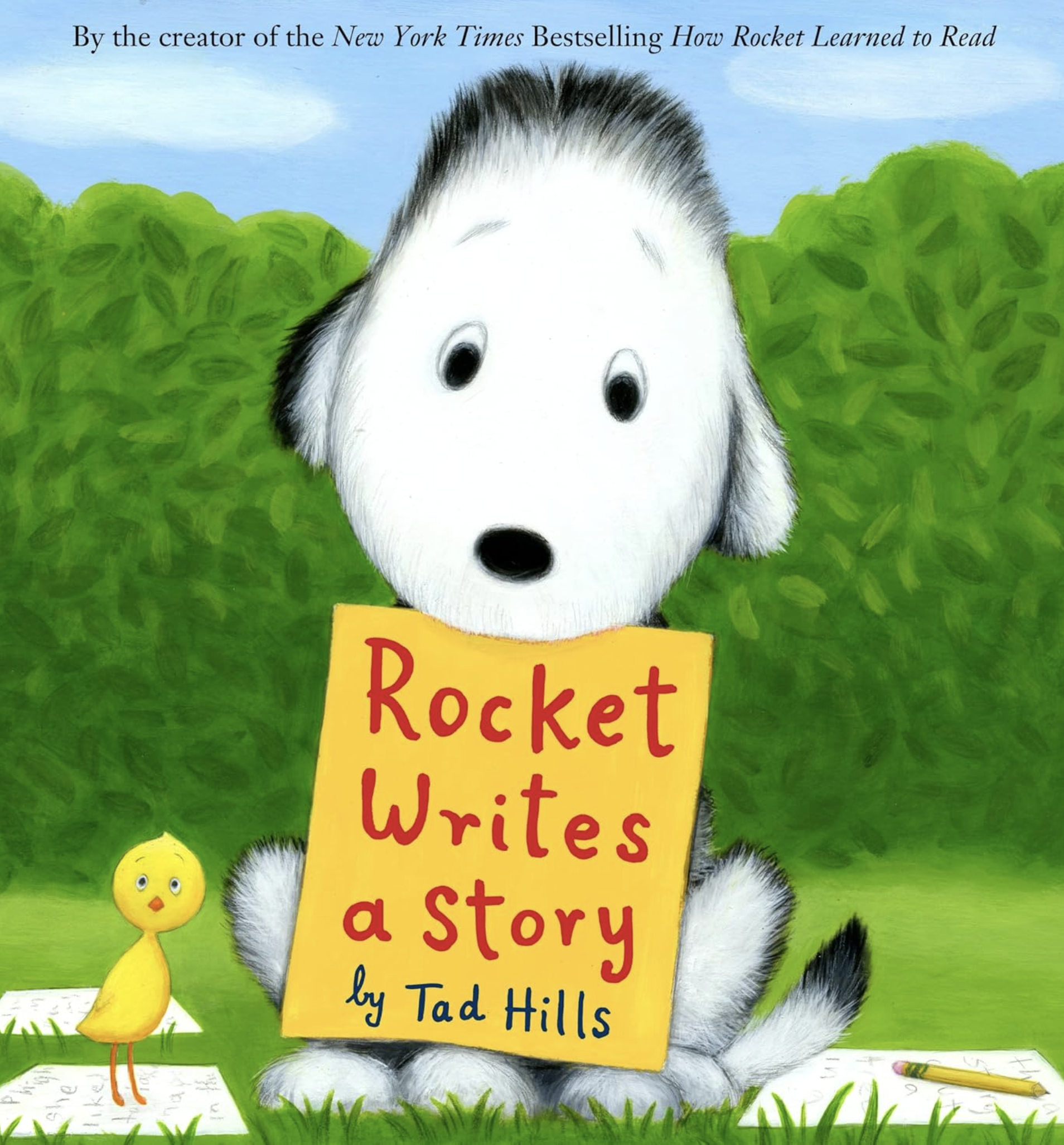 Rocket Writes.png