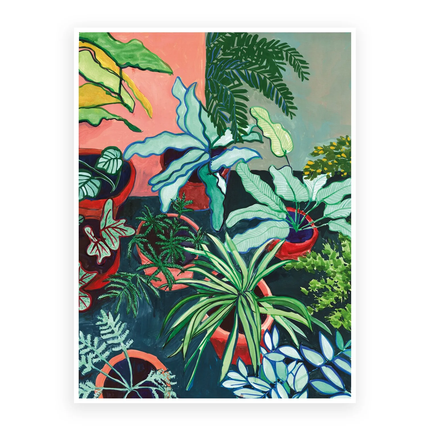 house plants and peach wall  1st image web.jpg