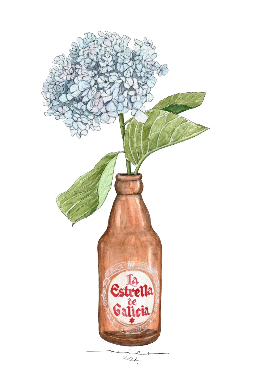 Botellín Estrella Galicia y hortensias