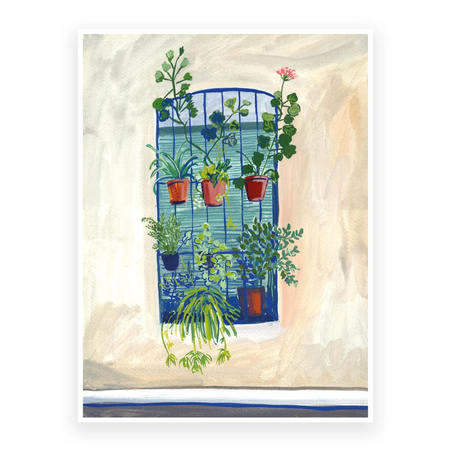 Window in Barcelona with pink flower