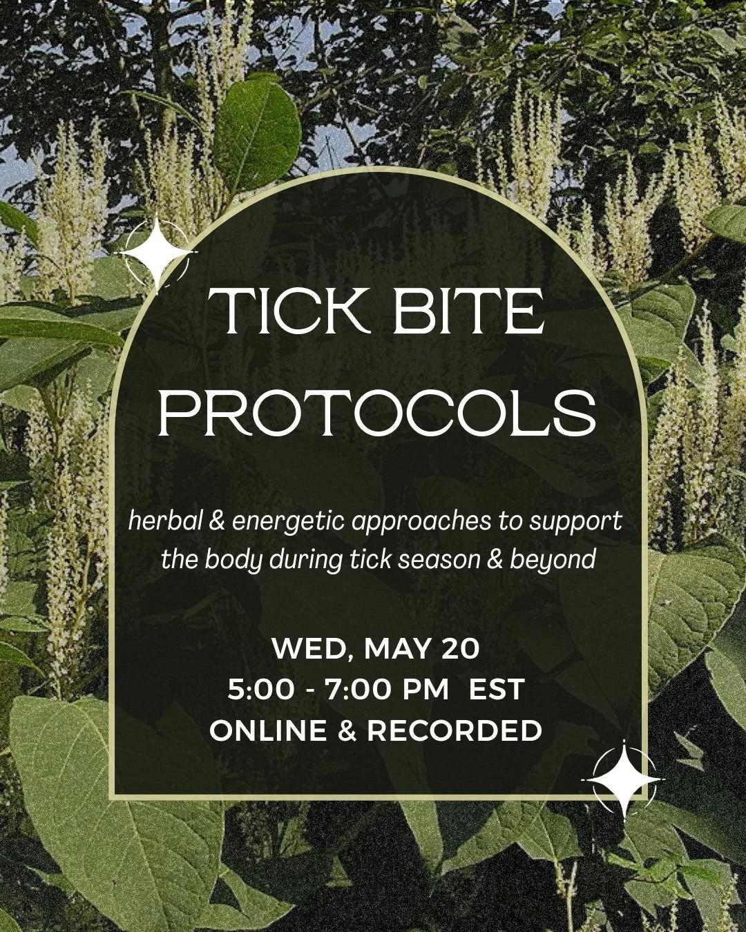 Tick Bite Protocols (1).jpg