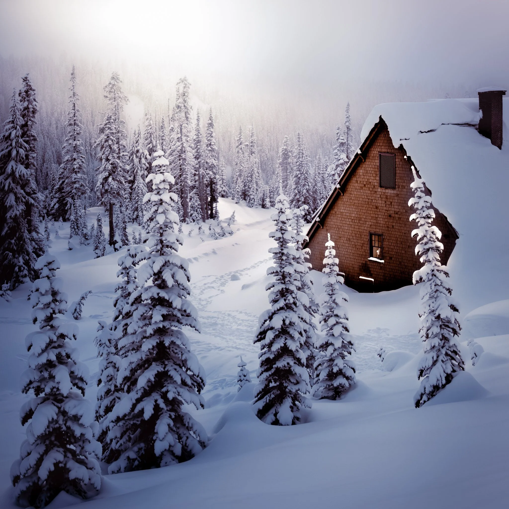 A snow-covered landscape with tall, snow-laden pine trees and a brown wooden house with a steep snow-covered roof and chimney, surrounded by deep snow in a winter scene.