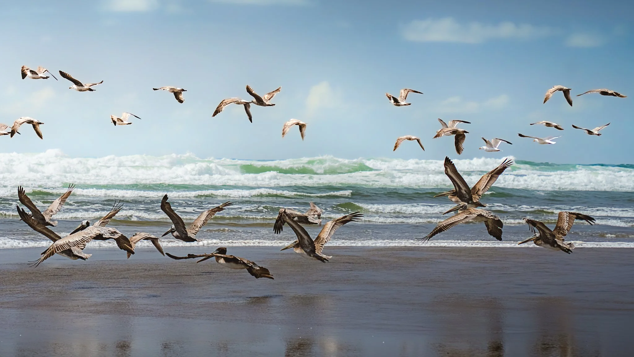 Seagulls flying over a sandy beach with ocean waves in the background under a partly cloudy sky.