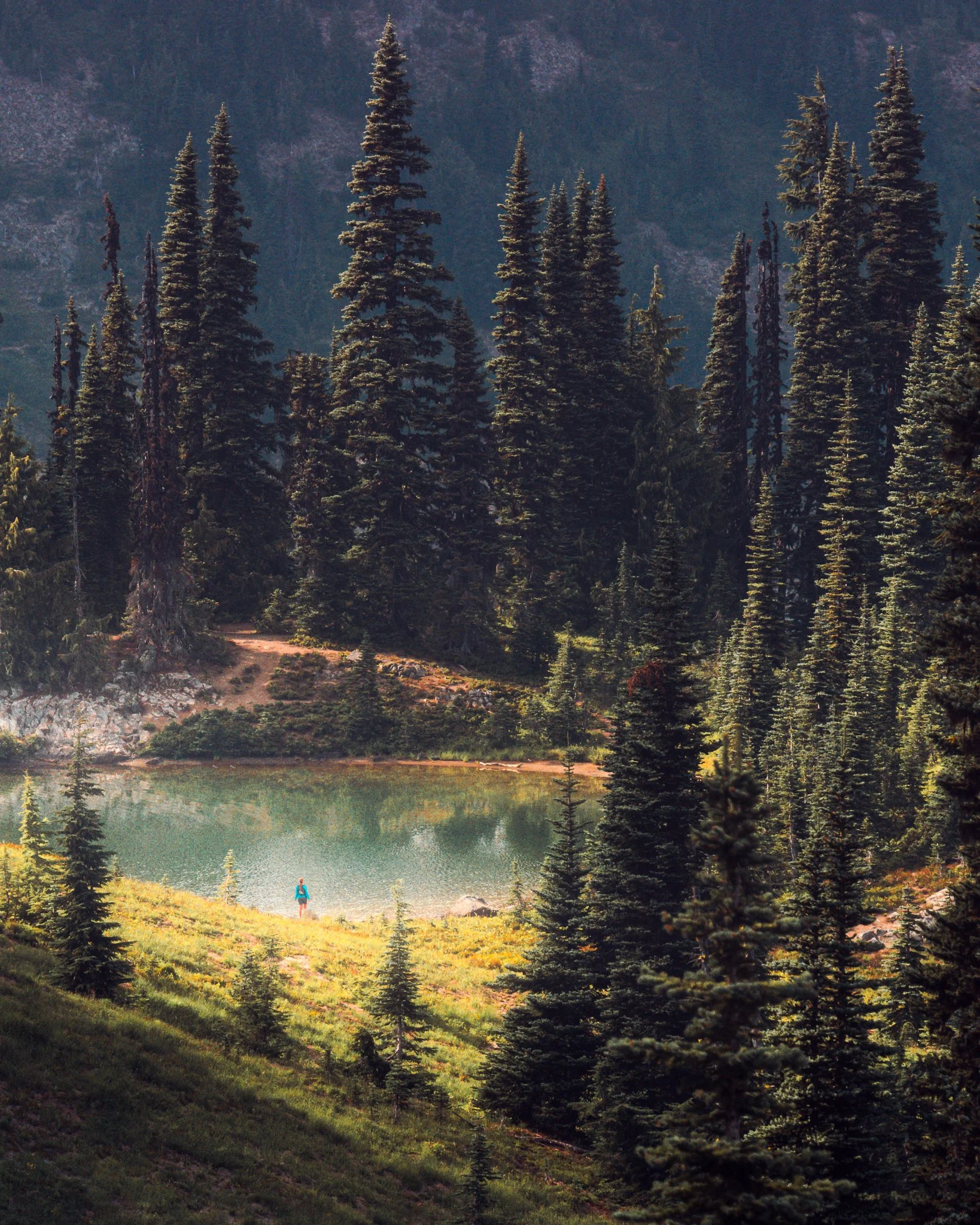 A person standing on the grassy edge of a lake surrounded by tall evergreen trees in a mountainous forest landscape