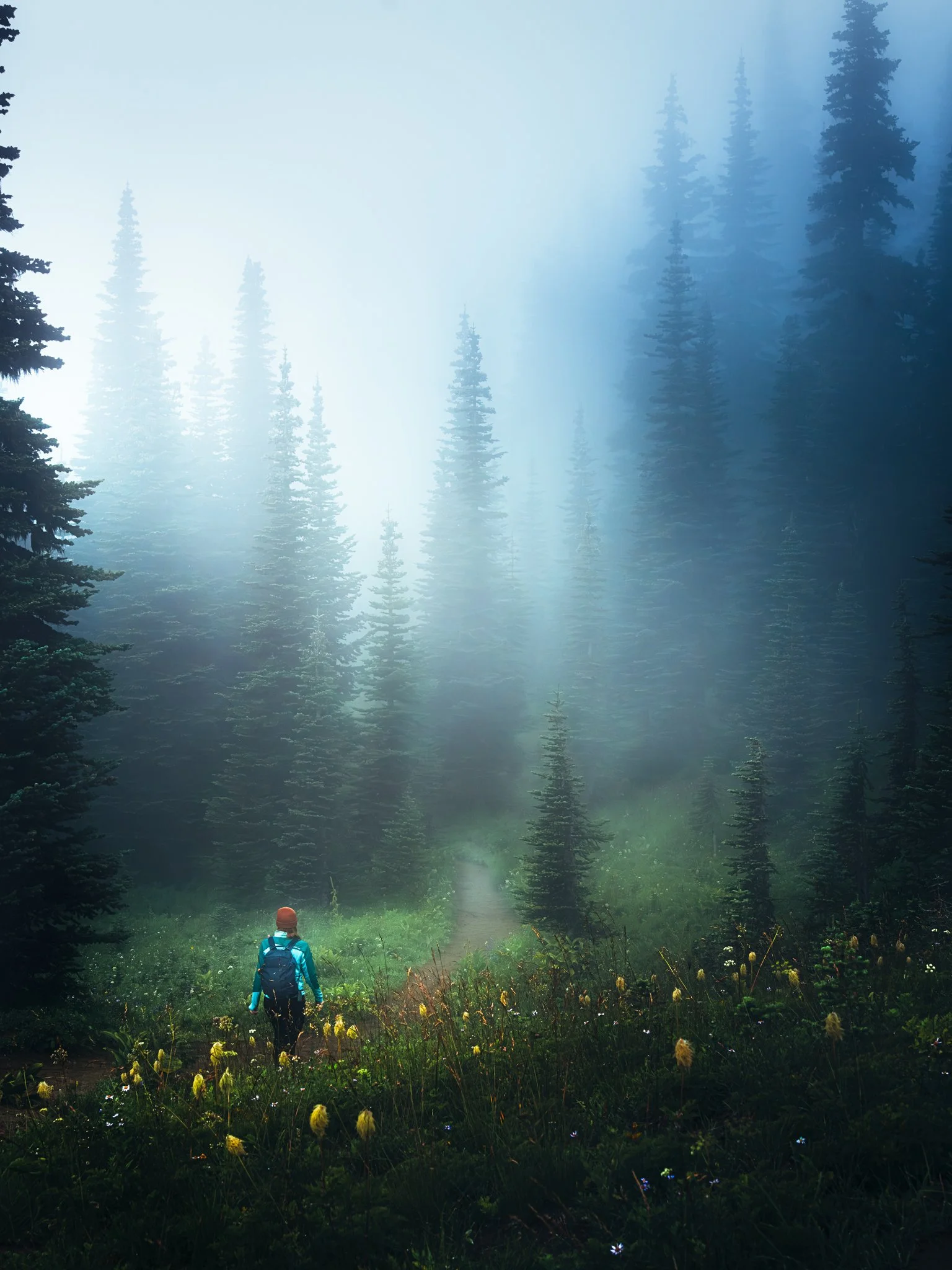 A person wearing a blue jacket, orange hat, and backpack walking on a narrow trail through a lush, green forest with tall pine trees and fog.