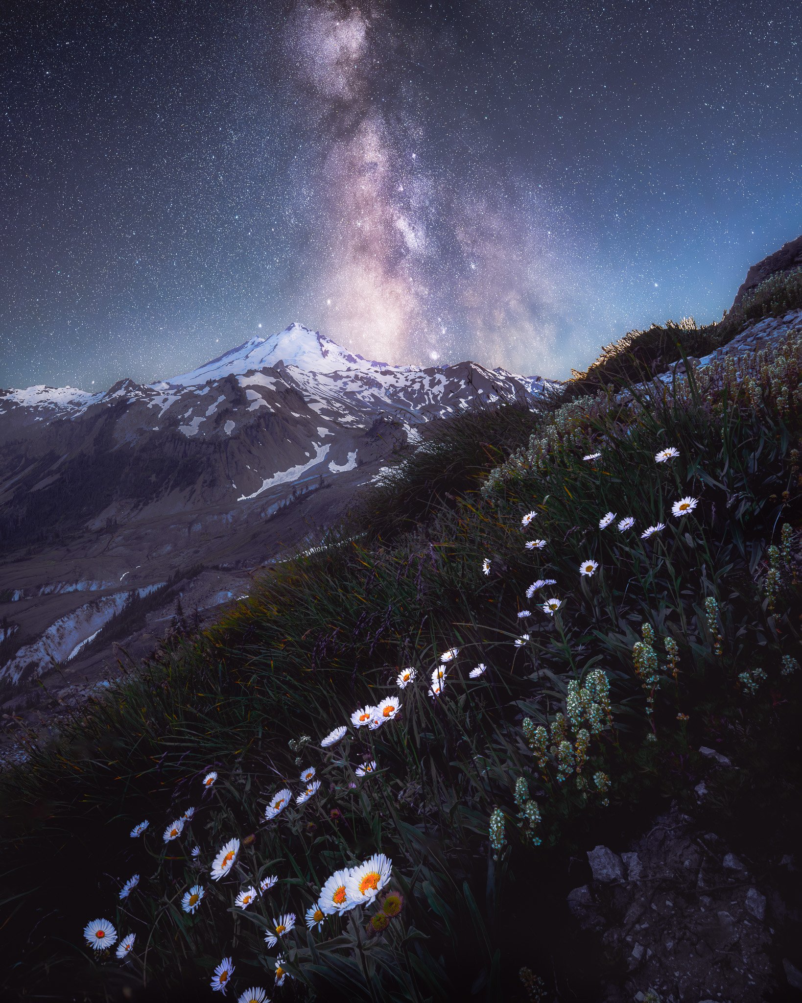 Night sky with Milky Way galaxy over snow-capped mountain, with wildflowers on a hillside in the foreground.