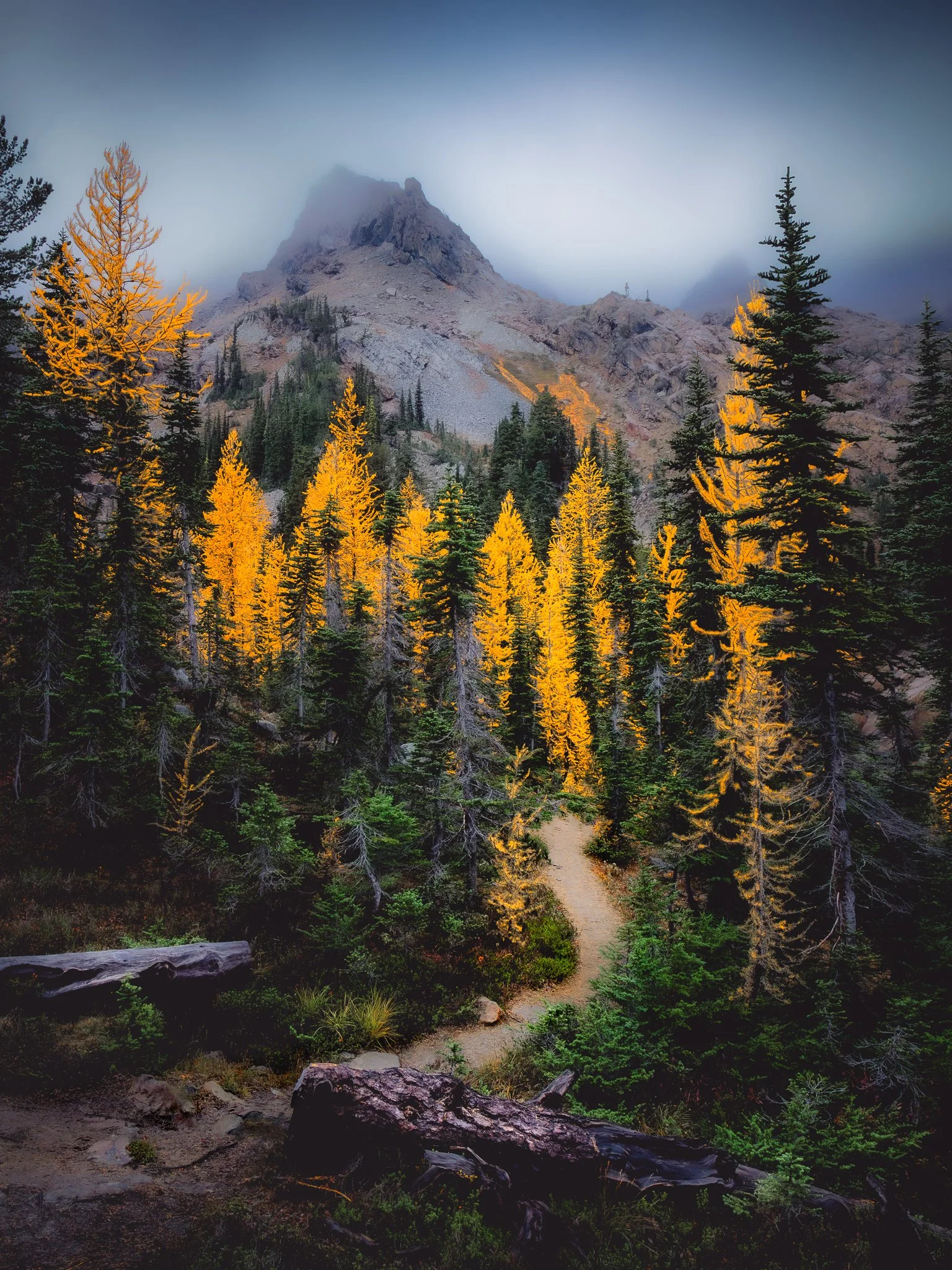 A mountain landscape with a dirt trail through a forest of green and yellow autumn trees, with a rugged mountain peak in the background under a cloudy sky.