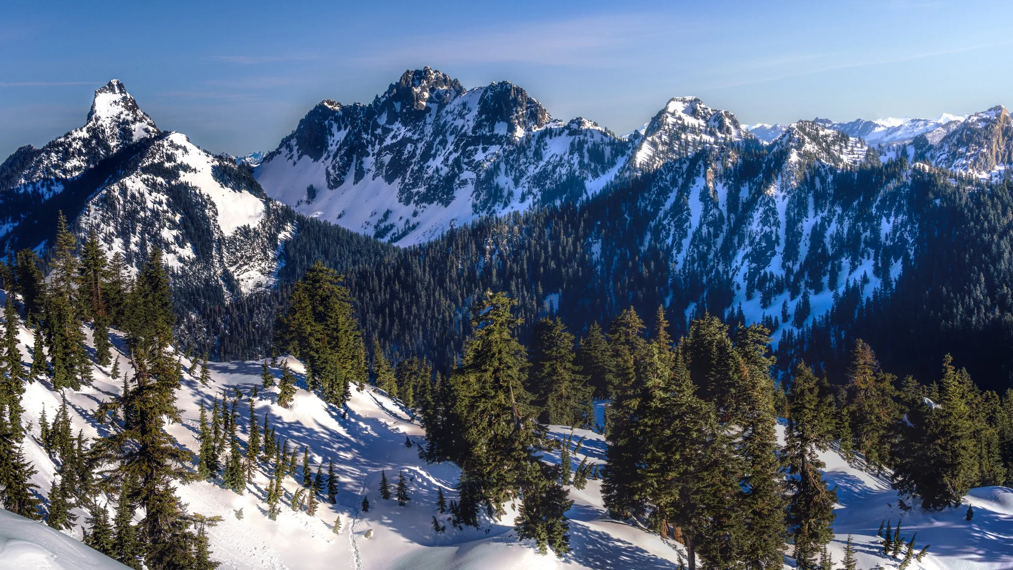Snow-covered mountains with evergreen trees in the foreground and a clear sky.