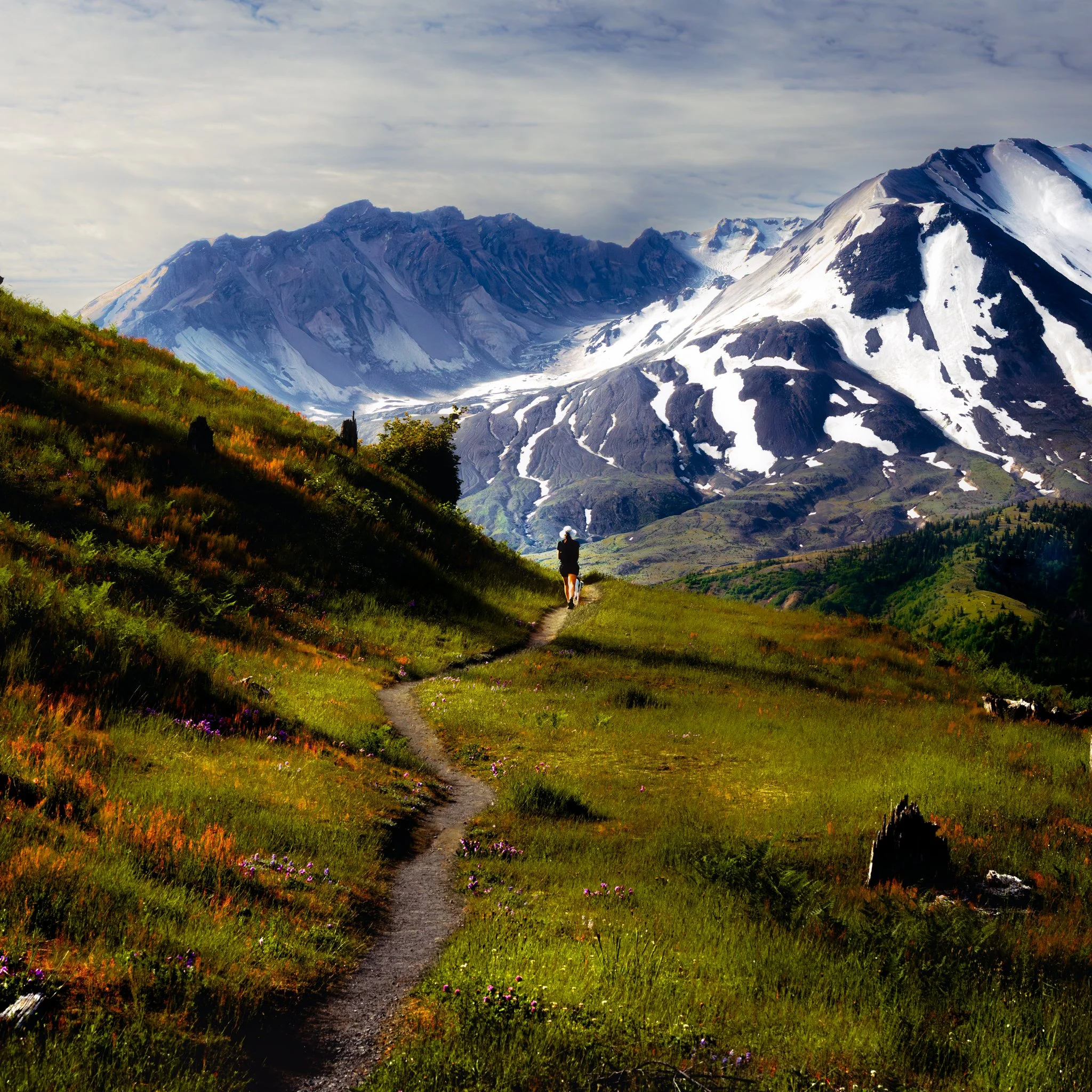 A person hiking on a trail through a green field with mountains and snow in the background.