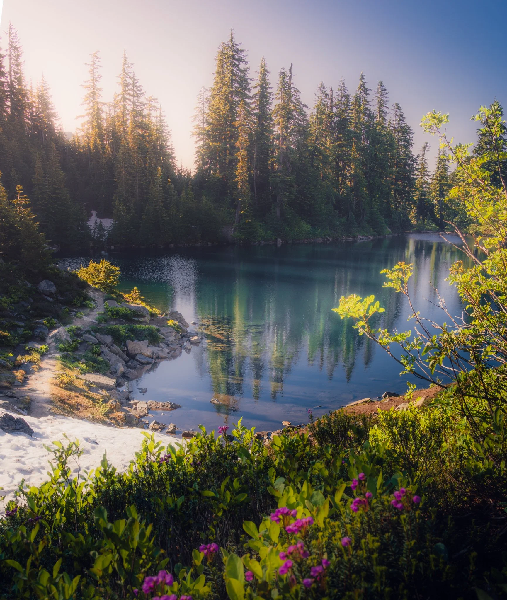 Sunlight filters through tall pine trees over a calm mountain lake, with colorful wildflowers and green shrubs in the foreground.
