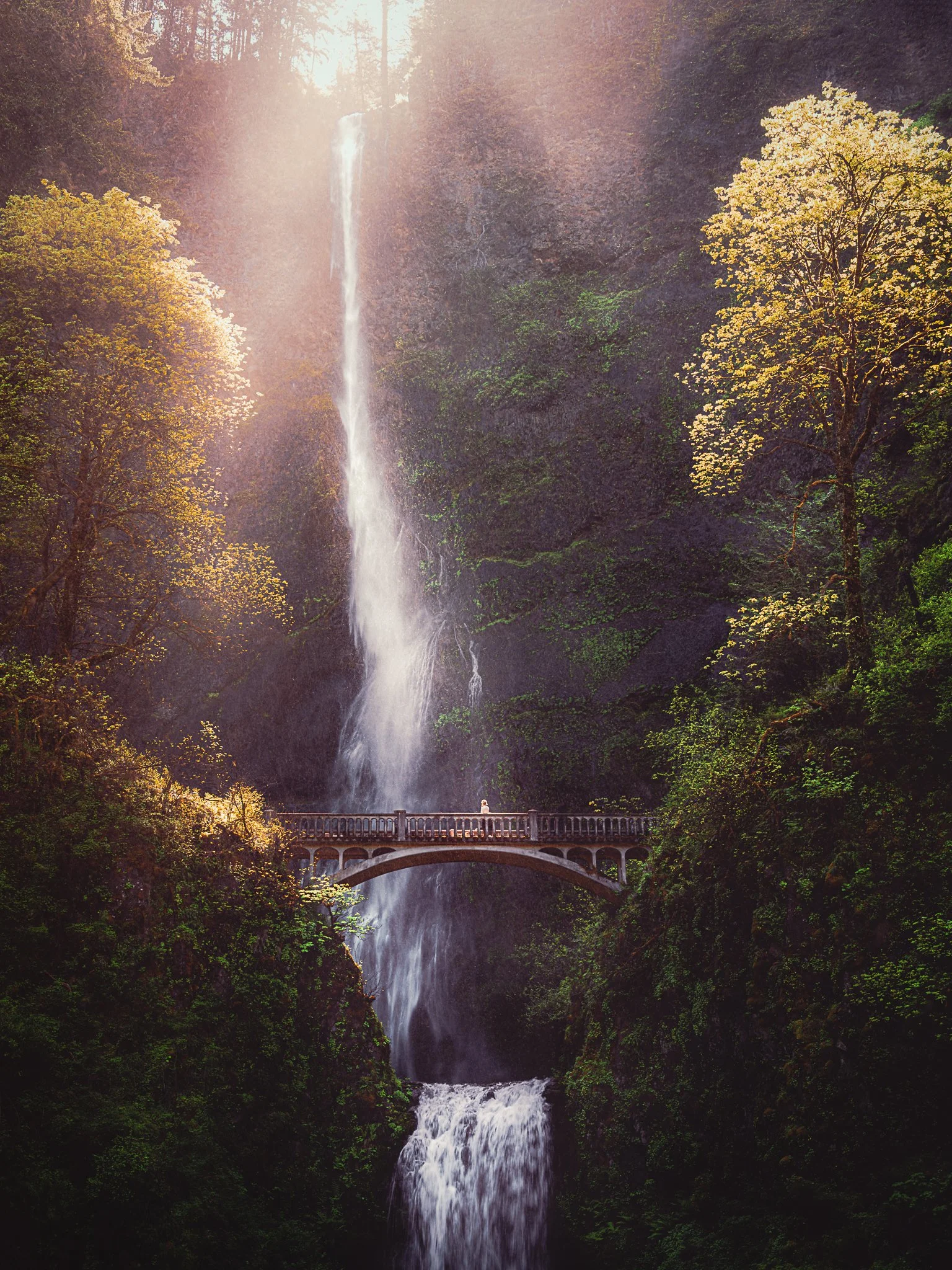 A person standing on a bridge in front of a tall waterfall surrounded by lush green trees.