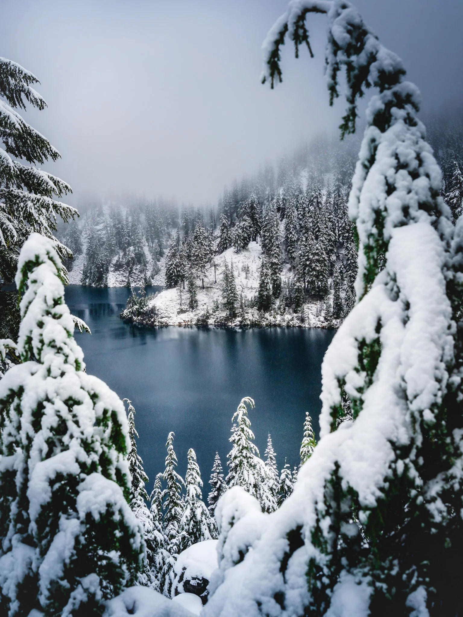 Snow-covered evergreen trees surrounding a mountain lake with snowy forested hills in the background