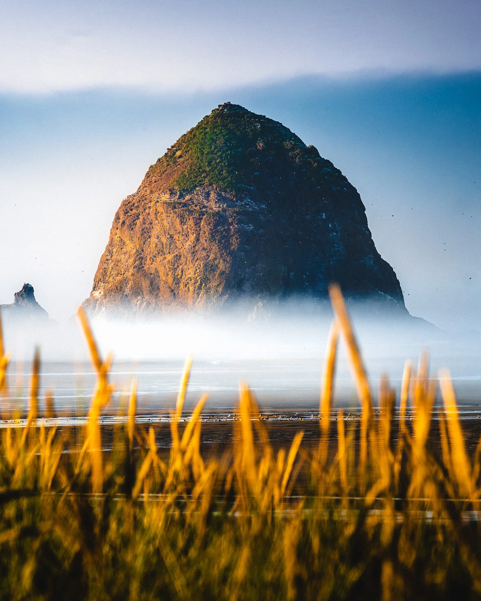 A large sea stack with green and brown vegetation, surrounded by mist and water, with tall golden grass in the foreground.