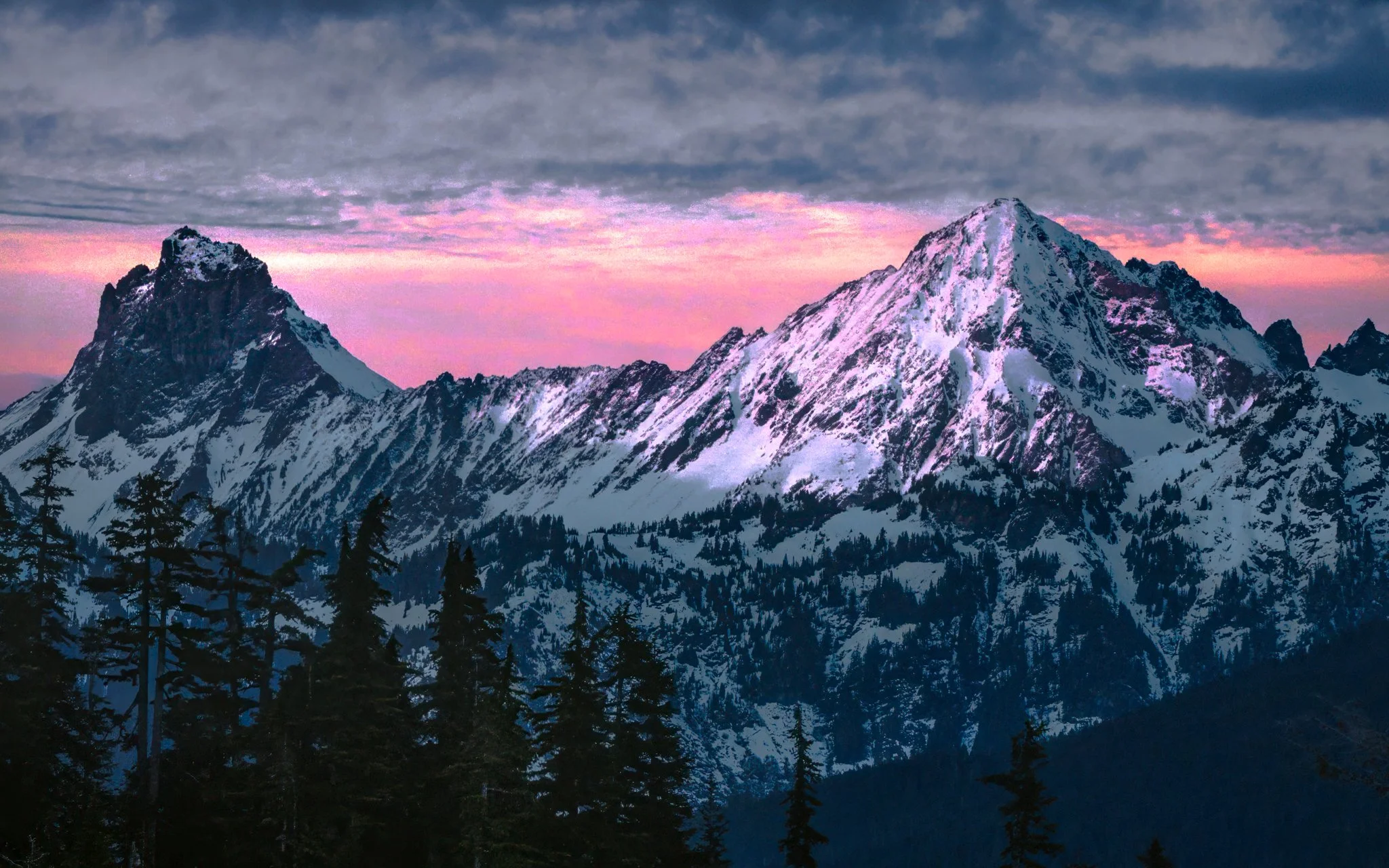 Snow-capped mountains at dusk with a pink and purple sky, and dark pine trees in the foreground.