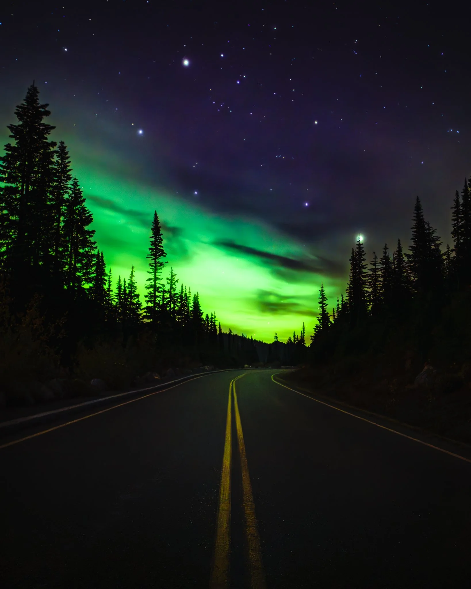 A road at night surrounded by trees, with the Northern Lights illuminating the sky in green and purple hues, and a starry sky with visible stars and planets.