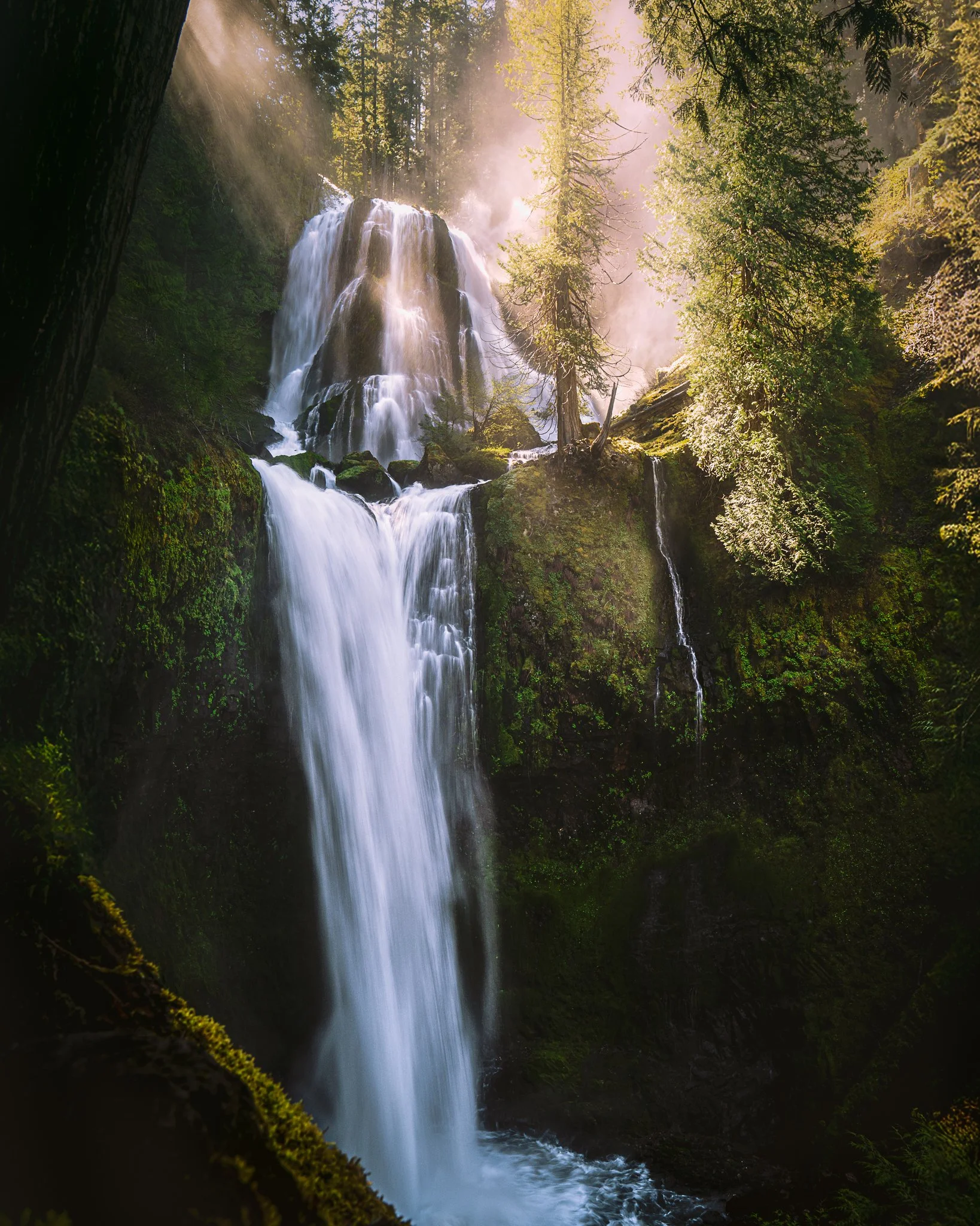 A scenic view of a waterfall cascading down moss-covered rocks in a lush forest with sunlight filtering through tall trees.