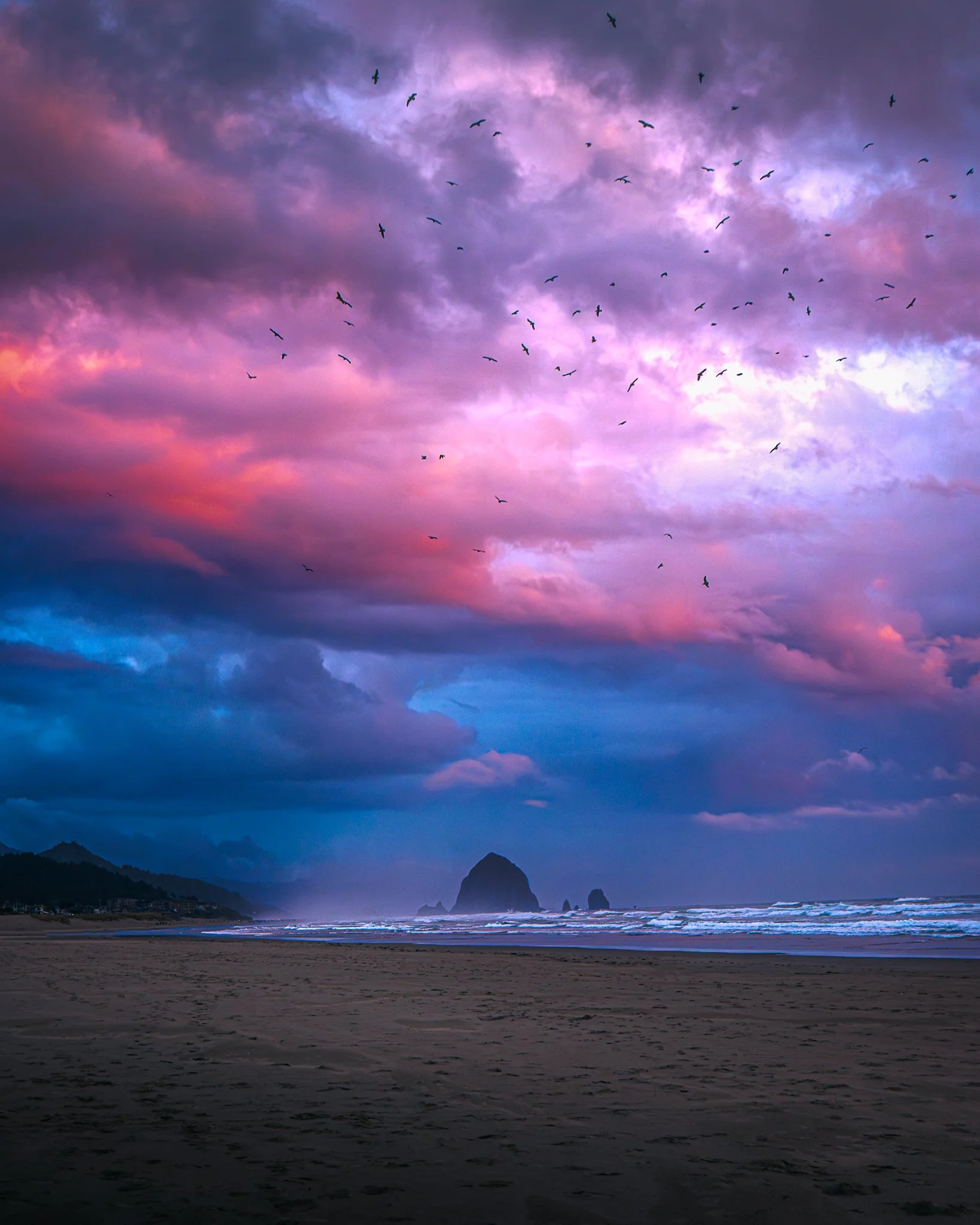 Beach scene at sunset with colorful purple, pink, and blue sky, flying birds, and rocky formations in the distance.