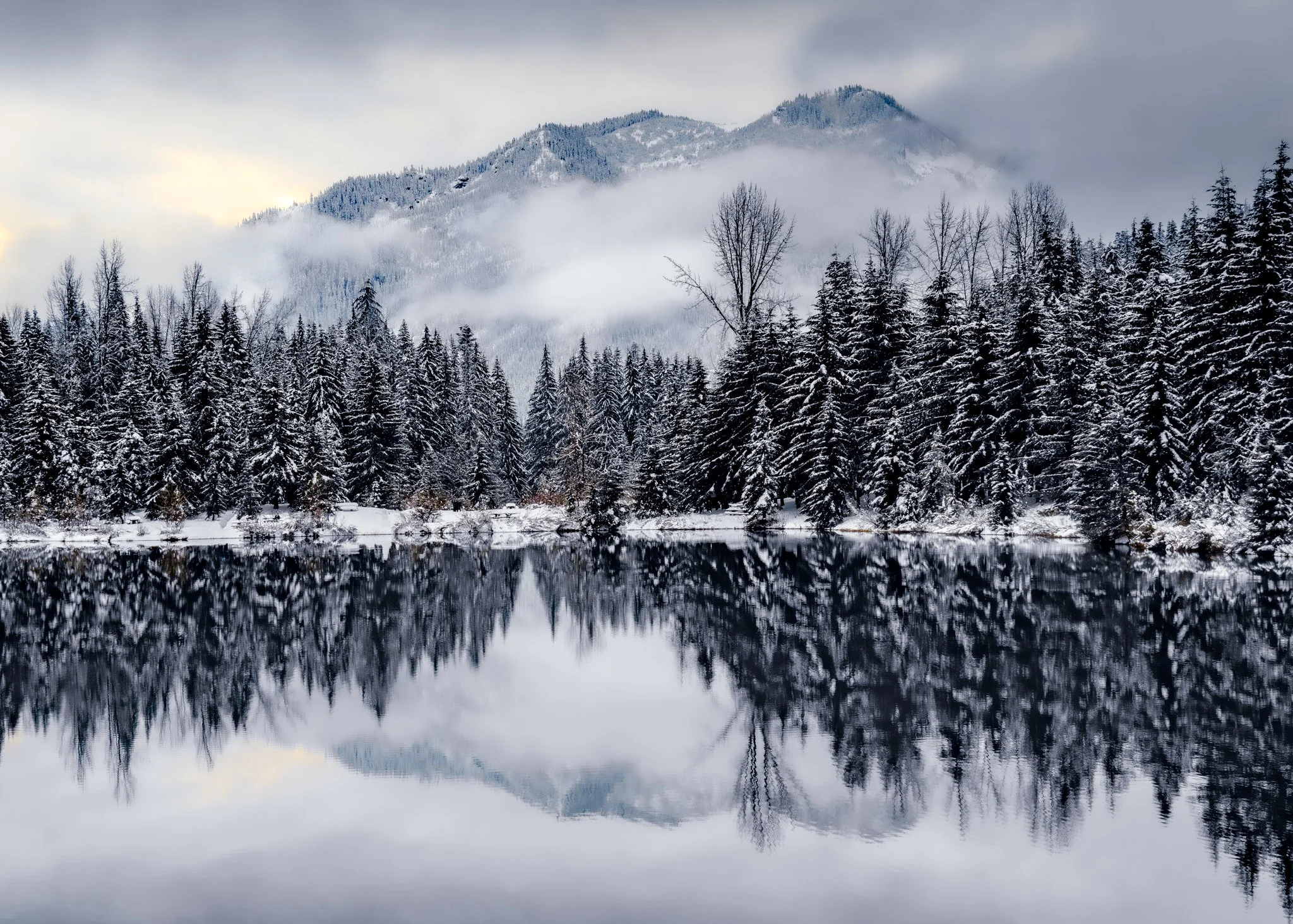 Snow-covered pine trees along a calm lake with a mountain in the background and foggy sky.