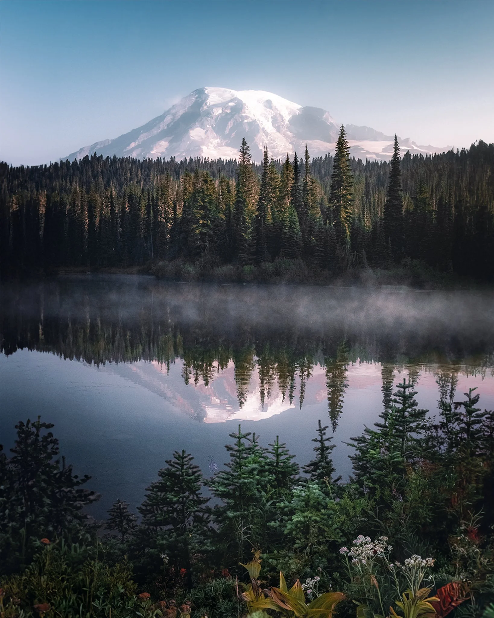 Snow-capped mountain reflecting in a calm lake, with a dense forest of pine trees and a variety of plants in the foreground.