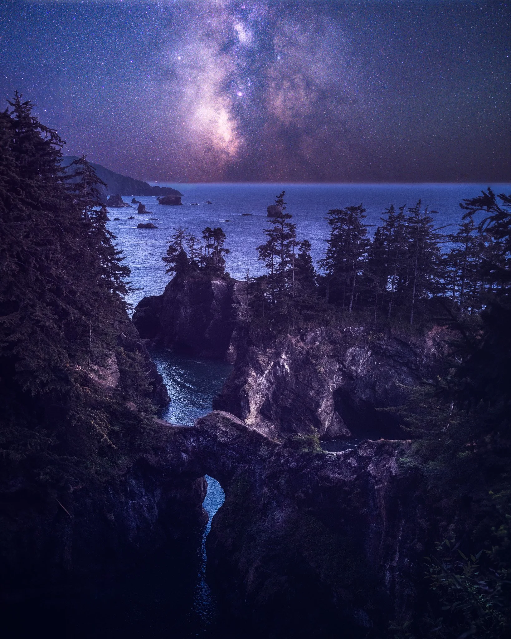 Starry night sky over rocky coastline with trees and ocean water.