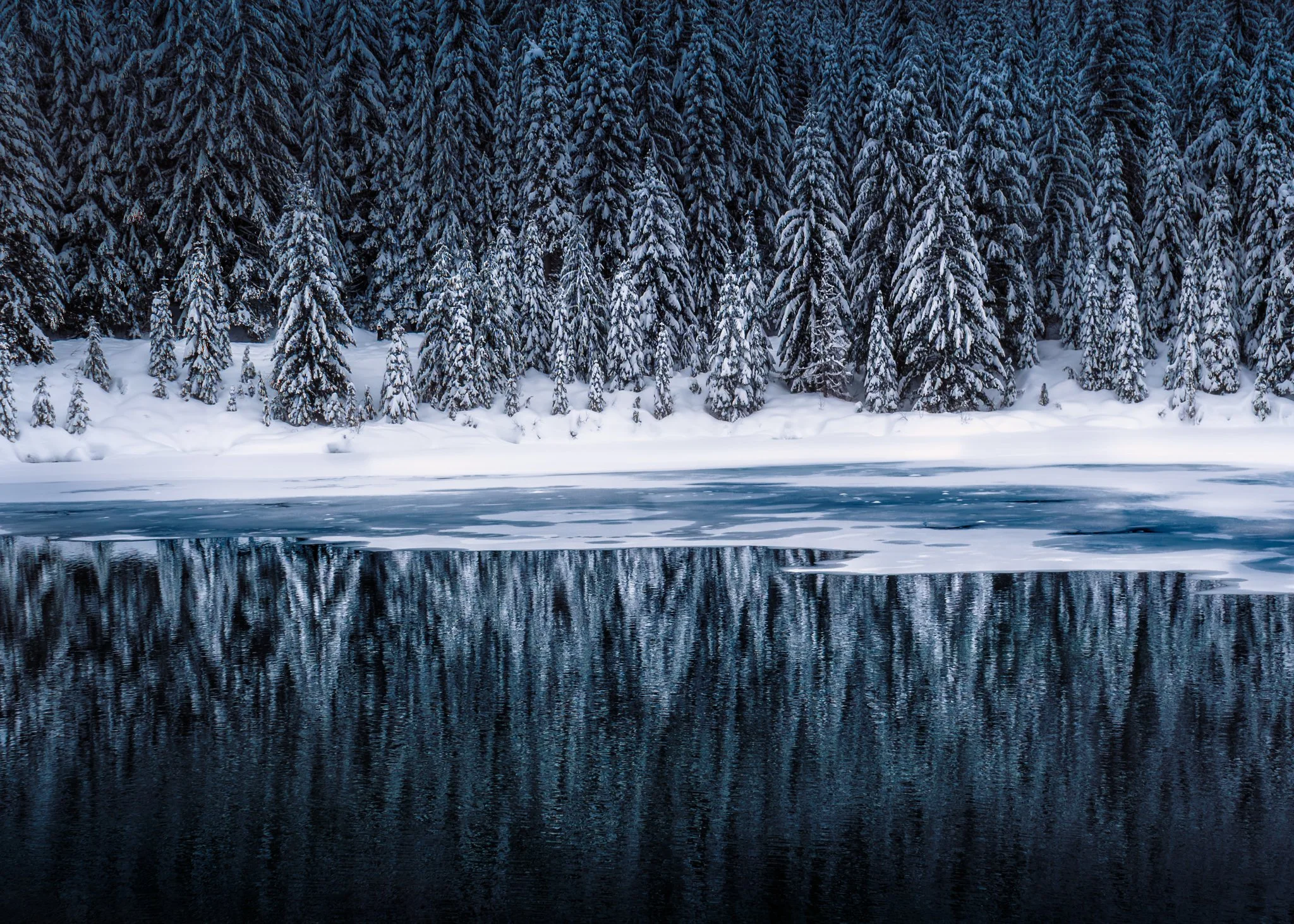 Snow-covered forest next to a partially frozen lake, with snowy trees in the background and reflections on the water.