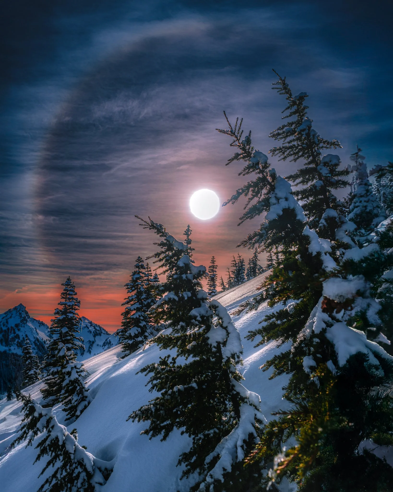 Snow-covered pine trees on a mountain slope during a full moon night with a clear sky and a rainbow halo around the moon.