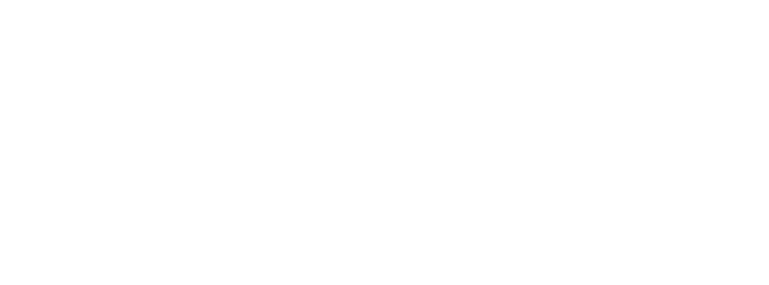 Emily Lundin's Portfolio