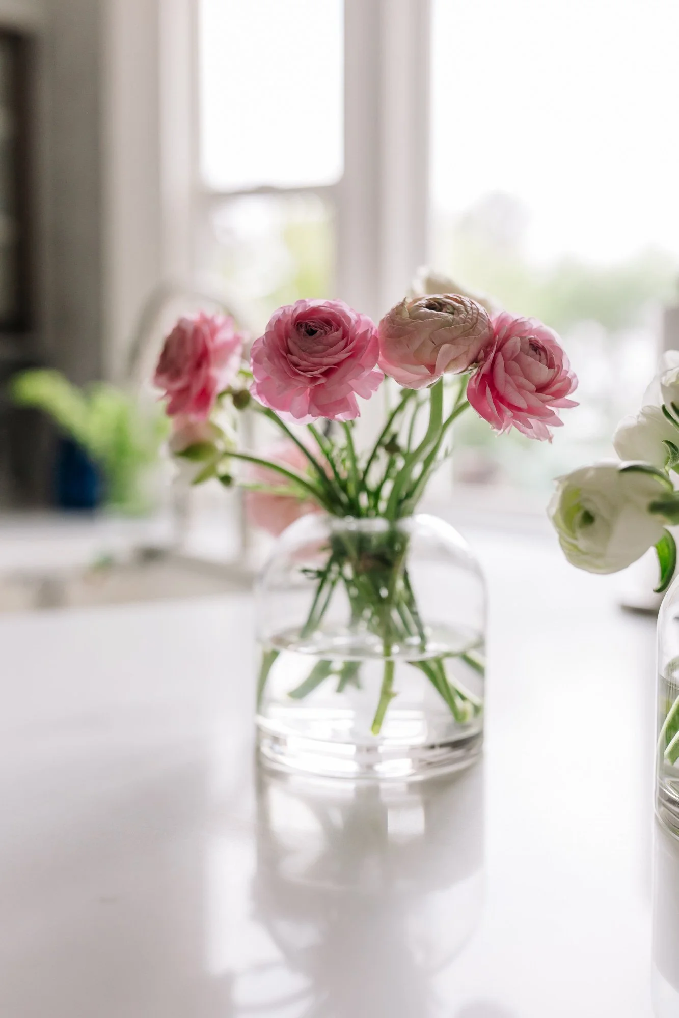 Glass vase with pink and white ranunculus flowers in a sunlit room — reflecting Ilene Schaffer’s coaching emphasis on beauty, presence, and the serenity of everyday rituals.