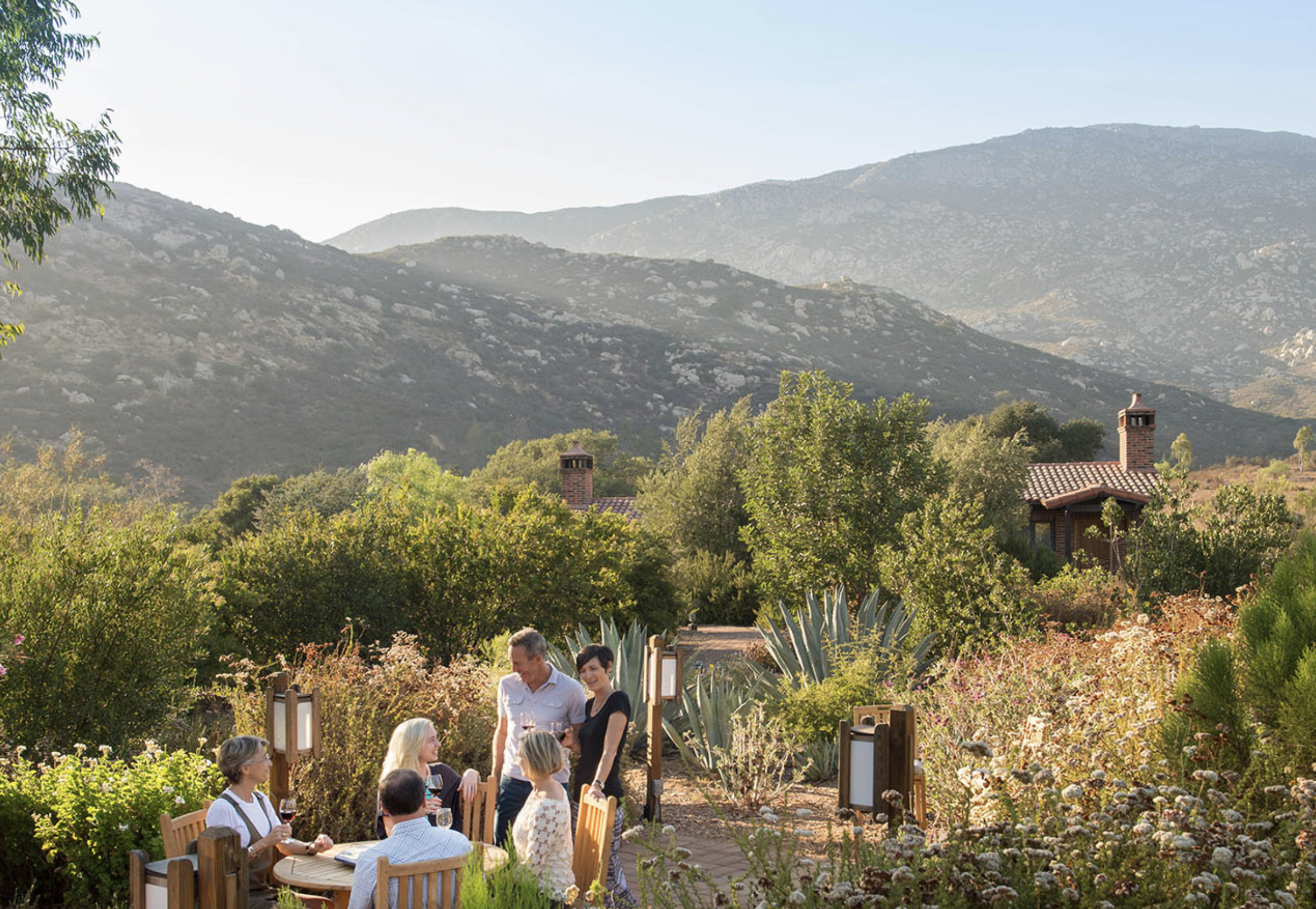 Ilene Schaffer enjoying a garden gathering with friends — reflecting her values of connection, replenishment, and community in nature-rich settings.
