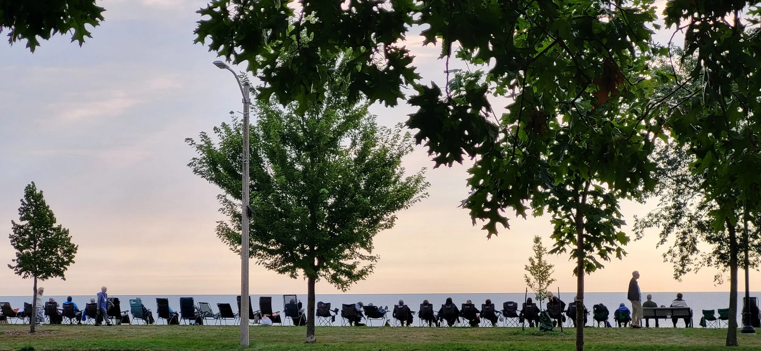 People sitting and standing along a seaside park with trees, facing the water at sunrise.