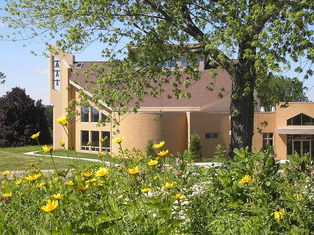 A modern house with large windows, beige brick walls, and a sloped roof, surrounded by a lush garden with yellow flowers and a large tree in the foreground under a clear blue sky.