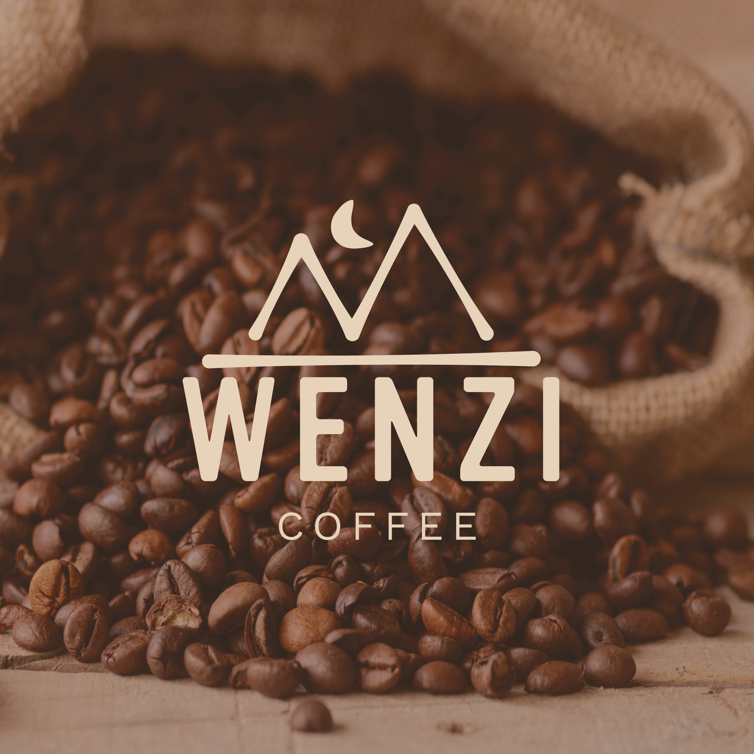 wenzi.png